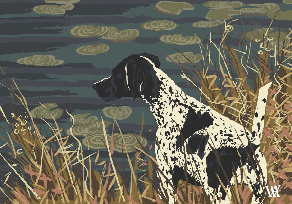 Navy German Shorthair at Pond
