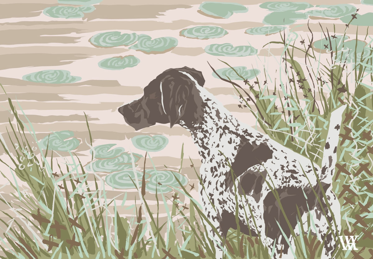 Pink German Shorthair at Pond