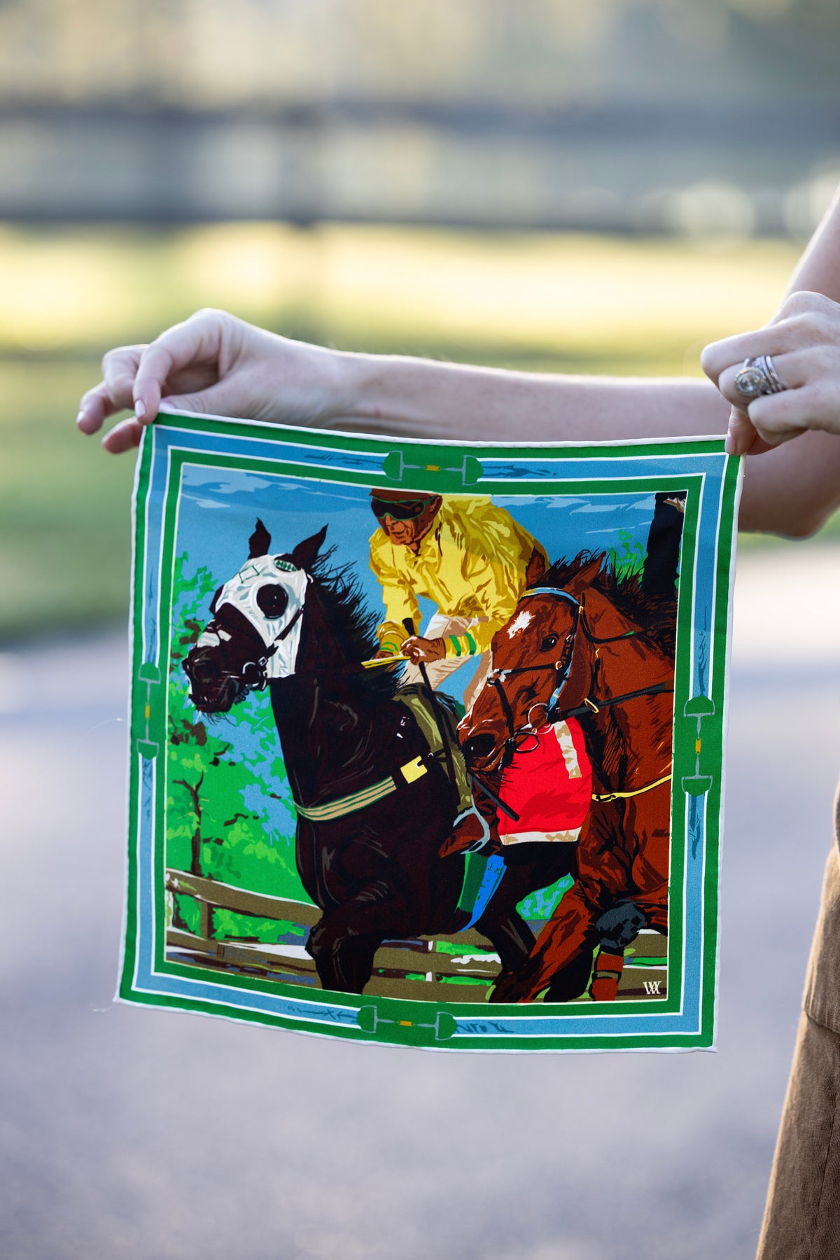 Green Neck and Neck Silk Scarf