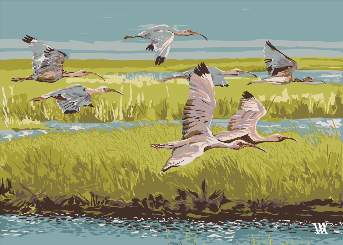 Chartreuse Marsh Flyer